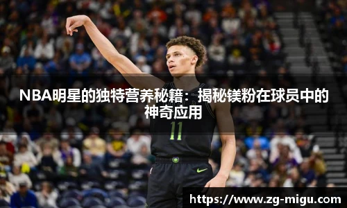 NBA明星的独特营养秘籍：揭秘镁粉在球员中的神奇应用