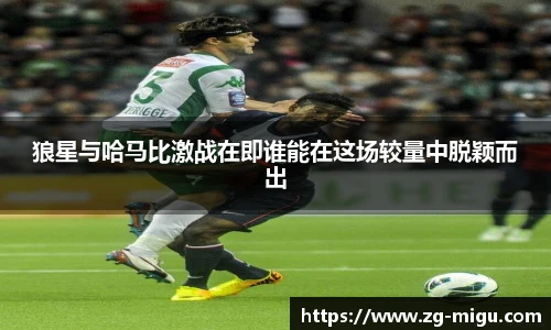 狼星与哈马比激战在即谁能在这场较量中脱颖而出